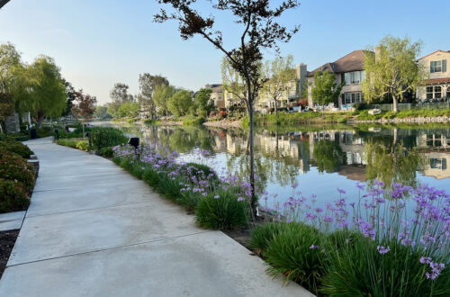 trail next to a lake with houses. Specialized walks for creativity, connection, or cooling off