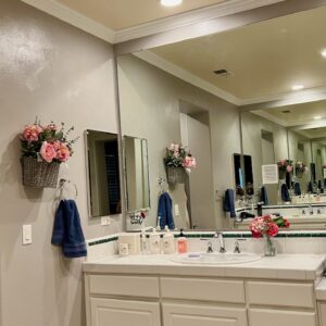 picture of author's bathroom